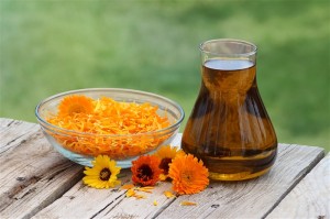 Calendula infused oil