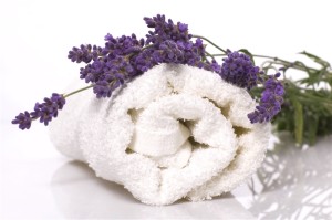 lavender bath items isolated on the white background